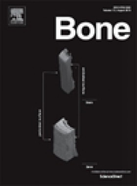 Bone