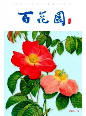 百花园期刊