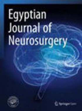 Egyptian Journal Of Neurosurgery